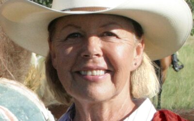 Hollebeke, Karin