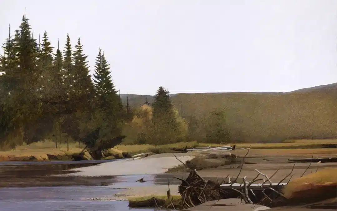 Quiet Waters