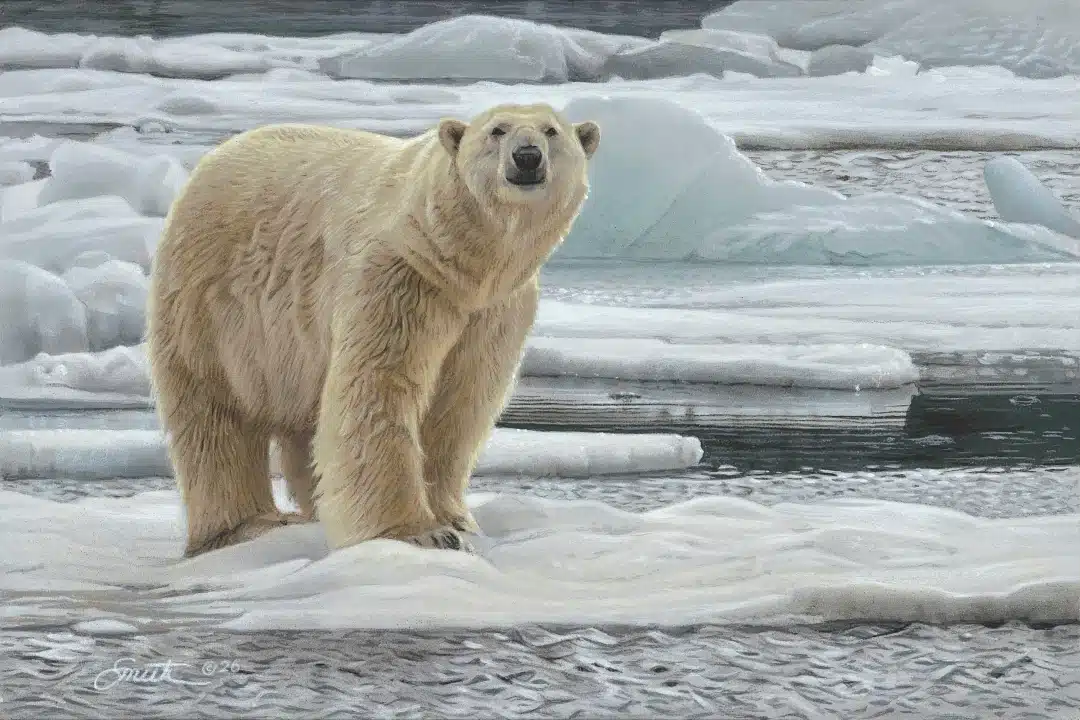 Artic Odessy