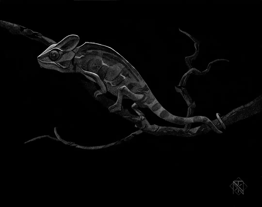 Chameleon