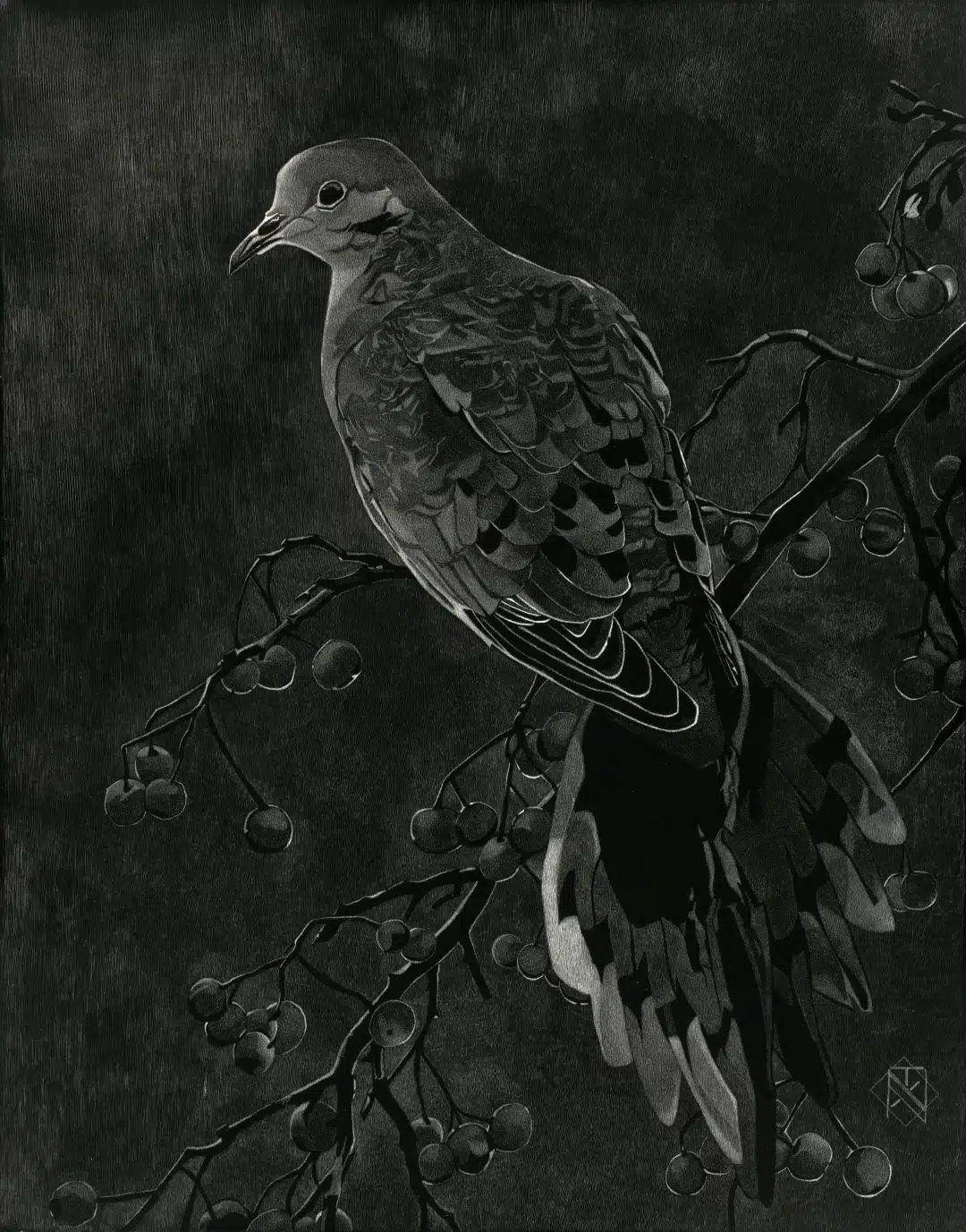 Dove