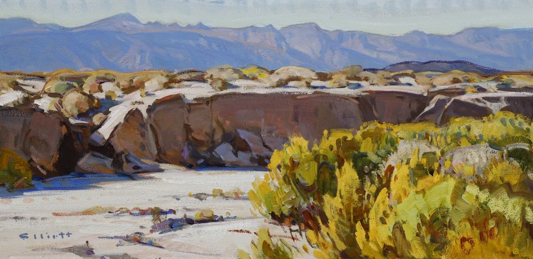 Arid Beauty