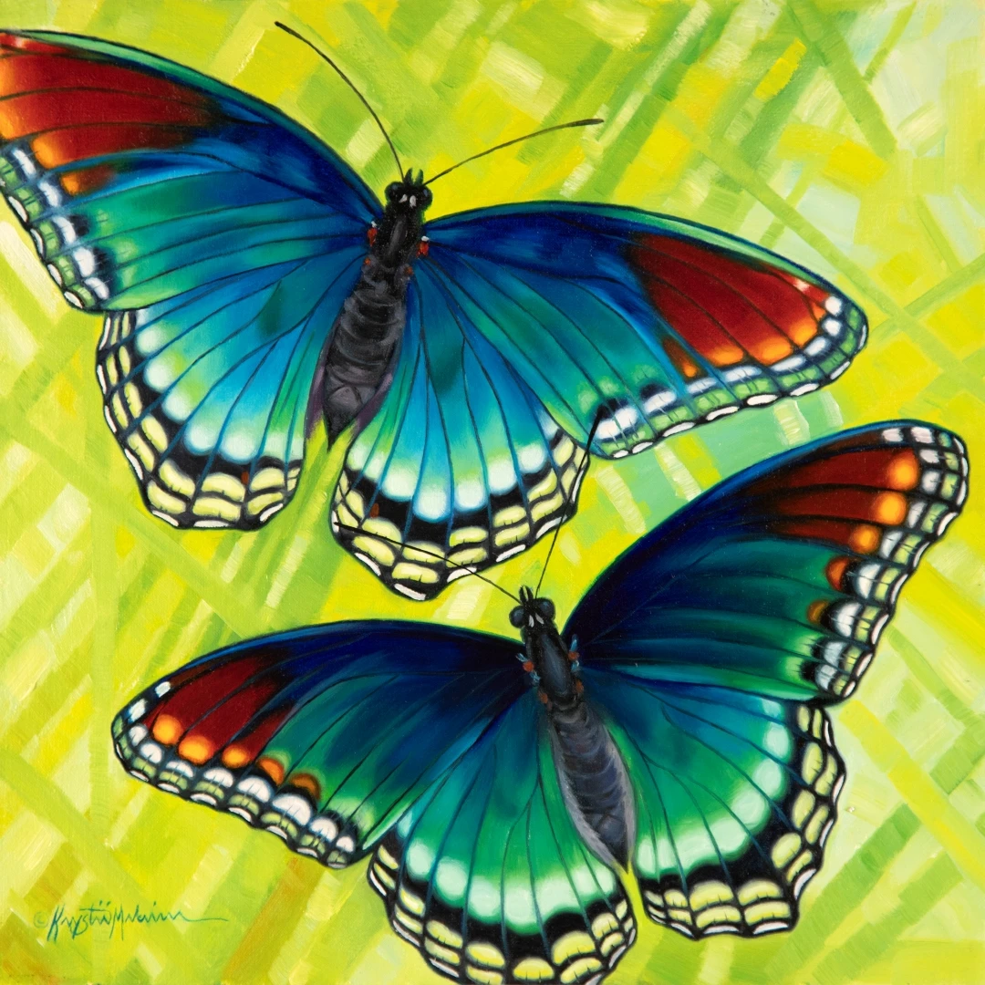 Red-spotted Purple