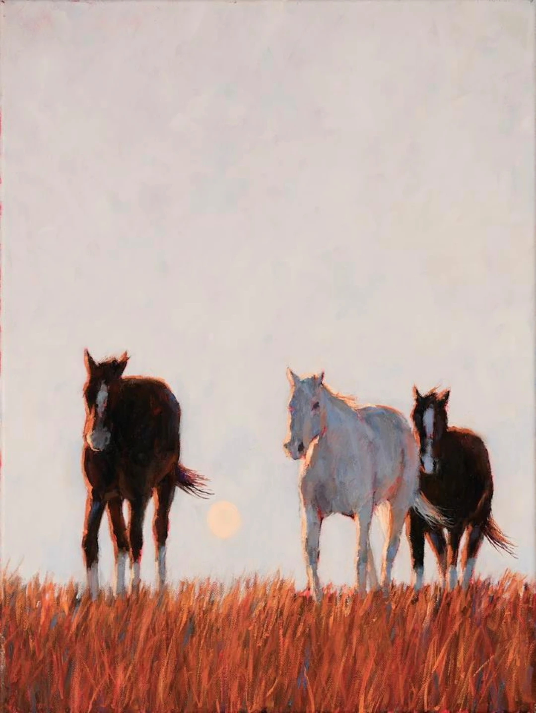 A Morning Moon and Wild Horses