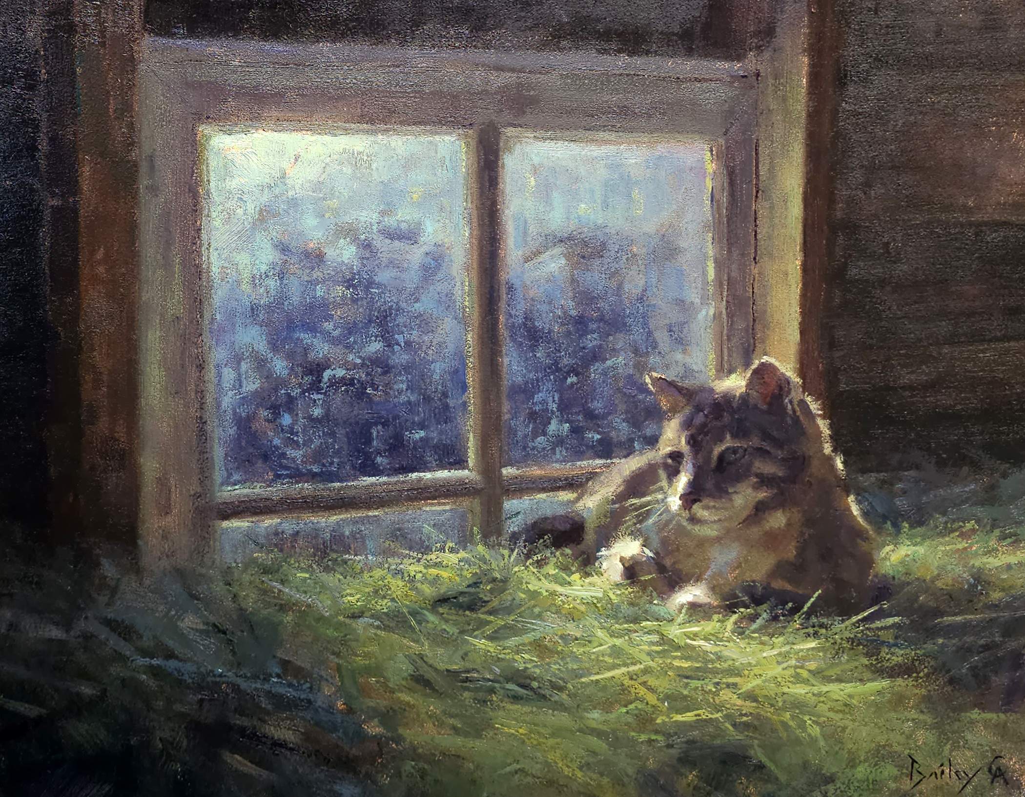 Prairie Nights
